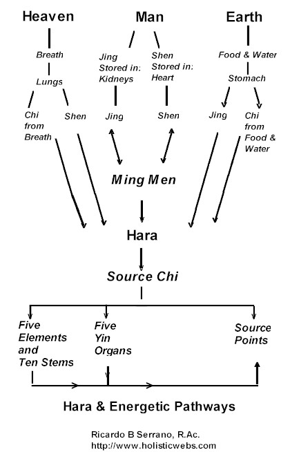 Hara & Energetic Pathways